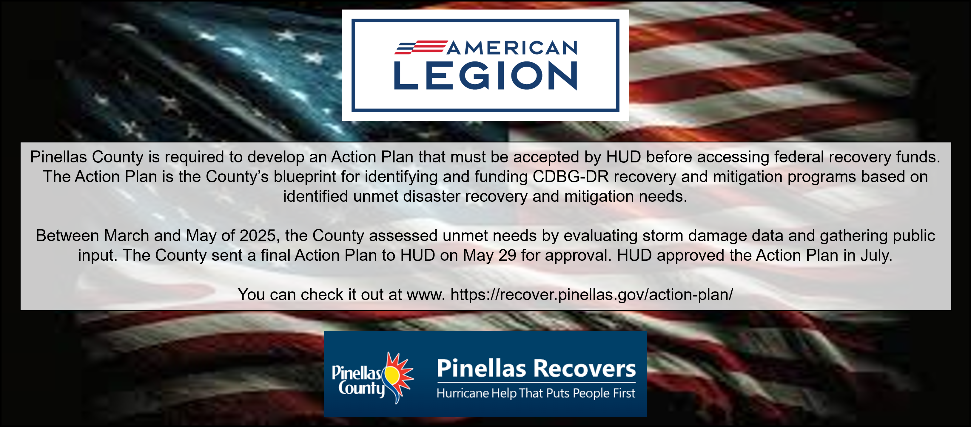 Pinellas Action Plan